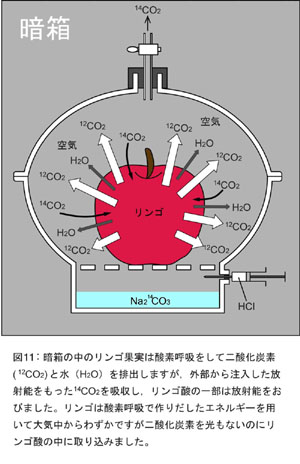 11図
