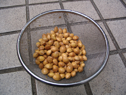 外苑イチョウ並木